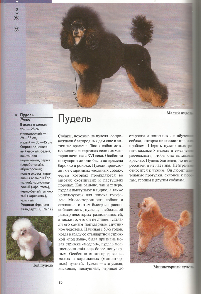 breeds-2007-3