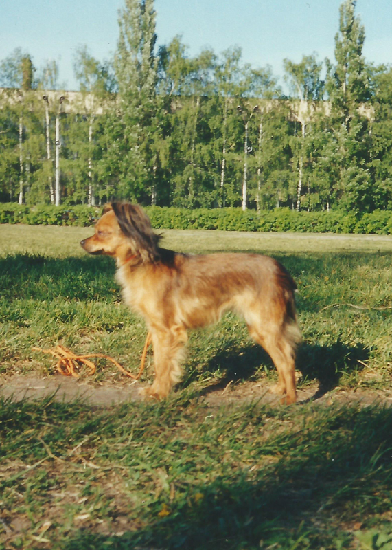 busya-may-2000